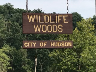 Wildlife Woods